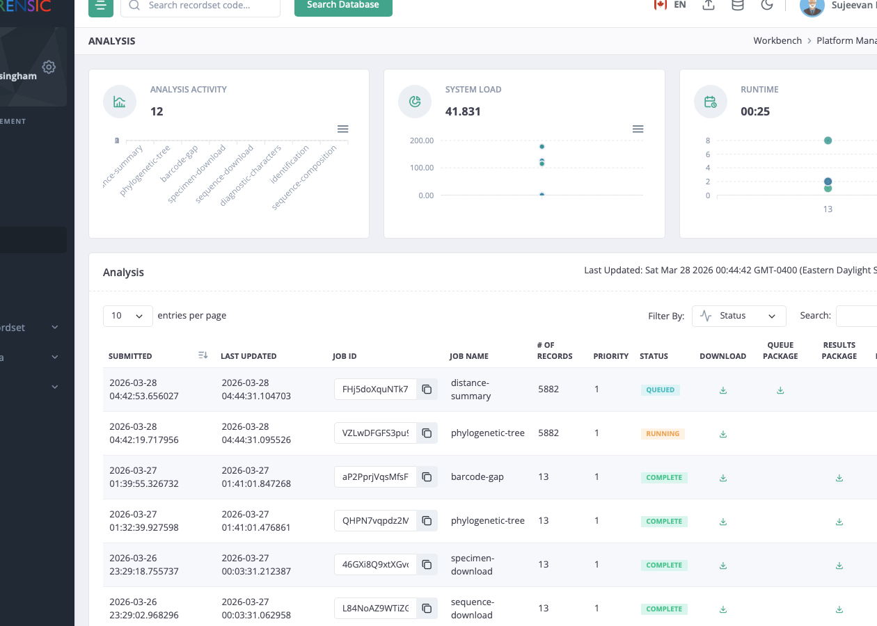 Workbench analysis monitoring page showing queued, running, and completed jobs.